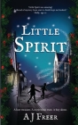 Little Spirit: A children's mystery adventure Cover Image