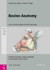 Bovine Anatomy By Klaus-Dieter Budras, Robert E. Habel, Christoph K.W. Mülling (Contributions by), Paul Greenough (Contributions by), Gisela Jahrmärker (Contributions by), Renate Richter (Contributions by), Diemut Starke (Contributions by) Cover Image