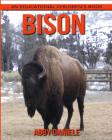 Bison! An Educational Children's Book about Bison with Fun Facts & Photos Cover Image