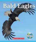 Bald Eagles (Nature's Children) By Hugh Roome Cover Image