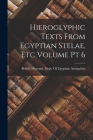 Hieroglyphic Texts From Egyptian Stelae, etc Volume pt 6 By British Museum Dept of Egyptian Ant (Created by) Cover Image