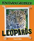 Leopards (Endangered!) By Carol Ellis Cover Image