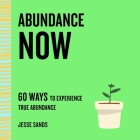 Abundance Now: 60 Ways to Experience True Abundance (The Now Series) By Jesse Sands Cover Image