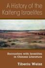 A History of the Kaifeng Israelites: Encounters with Israelites in Chinese Literature Cover Image