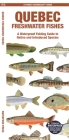 Quebec Fishes (English): A Waterproof Folding Guide to Native and Introduced Species By Waterford Press Cover Image