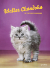 Walter Chandoha: The Cat Photographer Cover Image