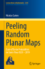 Peeling Random Planar Maps: École d'Été de Probabilités de Saint-Flour XLIX - 2019 (Lecture Notes in Mathematics #2335) Cover Image