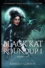 Black Kat Roundup 1: A Superhero Urban Fantasy Collection By Kimberly Gordon Cover Image