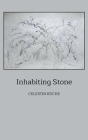 Inhabiting Stone By Celestin Büche Cover Image
