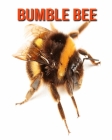 Bumble Bee: Amazing Facts about Bumble Bee By Devin Haines Cover Image