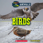 Fast and Slow: Birds (Wild World) By Brenna Maloney Cover Image