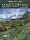 A Walk in an Irish Garden: For Flute and Piano By James Galway (Composer), David Overton (Other) Cover Image