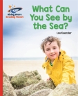 Reading Planet - What Can You See by the Sea? - Red B: Galaxy (Rising Stars Reading Planet) By Lou Kuenzler Cover Image