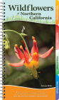 Wildflowers of Northern California: Your Way to Easily Identify Wildflowers (Adventure Quick Guides) Cover Image