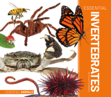 Essential Invertebrates By Alyssa Krekelberg Cover Image