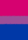 Bisexual Pride Flag Sketch Journal Cover Image