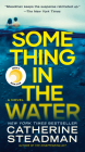 Something in the Water: A Novel By Catherine Steadman Cover Image