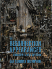 The Resurrection Appearances: Fragments of a Daybook By Jay Aquinas Thompson Cover Image