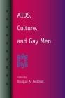Aids, Culture, and Gay Men By Douglas A. Feldman (Editor) Cover Image