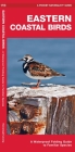 Eastern Coastal Birds: A Waterproof Folding Guide to Familiar Species Cover Image