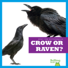 Crow or Raven? (Spot the Differences) By Jamie Rice Cover Image