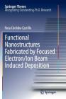 Functional Nanostructures Fabricated by Focused Electron/Ion Beam Induced Deposition (Springer Theses) By Rosa Córdoba Castillo Cover Image