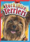 Yorkshire Terriers (Doggie Data) Cover Image