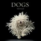 Dogs: Photographs By Tim Flach Cover Image