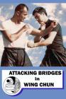 Attacking bridges in Wing Chun By Semyon Neskorodev Cover Image