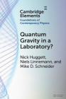 Quantum Gravity in a Laboratory? By Nick Huggett, Niels Linnemann, Mike D. Schneider Cover Image