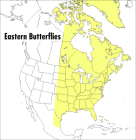 A Peterson Field Guide To Eastern Butterflies (Peterson Field Guides) Cover Image