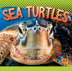 Sea Turtles By Marysa Storm Cover Image
