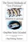 The Secret Methods of Ice-Fishing: DeepWater Tactics UnLeashed By Sandro Swann Brilli Cover Image
