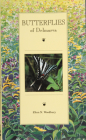 Butterflies of Delmarva Cover Image