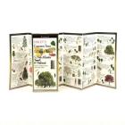 Sibley's Common Trees in the Cities & Towns of the Mid-Atlantic & Midwest By David Sibley, David Sibley (Illustrator) Cover Image