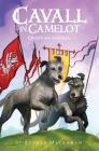 Cavall in Camelot #2: Quest for the Grail By Audrey Mackaman Cover Image
