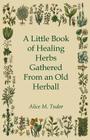 A Little Book of Healing Herbs Gathered from an Old Herball By Alice M. Tudor Cover Image