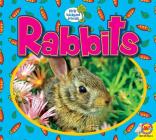Rabbits (Little Backyard Animals) By Samantha Nugent Cover Image