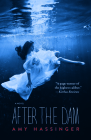 After the Dam By Amy Hassinger Cover Image