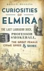 Curiosities of Elmira: The Last Labrador Duck, Professor Smokeball, the Great Female Crime Spree & More By Kelli L. Huggins Cover Image