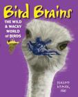 Bird Brains: The Wild & Wacky World of Birds By Jeremy Hyman, Haude Levesque (Illustrator) Cover Image