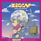 Ziggy Goes For Broke Cover Image