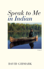 Speak to Me in Indian: A Novel Cover Image
