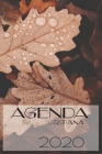 Agenda Cristiana 2020: Agenda cristiana, Dios, iglesia, notas, versiculo, Amor, biblia Cuaderno de notas A5, bonito y moderno con página prot Cover Image