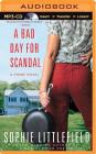 A Bad Day for Scandal: A Crime Novel (Stella Hardesty #3) Cover Image