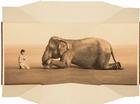 Boy Reading to Elephant By Gregory Colbert (Photographer) Cover Image