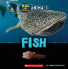 Big and Small: Fish (Wild World) By Brenna Maloney Cover Image