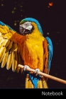 Notebook: Ara, Papagei, Gelb Ara, Vogel Notizbuch / persönliches Tagebuch / Schreibheft / Logbuch / Planer / Vokabelheft / Notiz By Notizbuch A5 Liniert Geschenkideen Cover Image