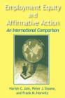 Employment Equity and Affirmative Action: An International Comparison: An International Comparison (Issues in Work and Human Resources) By Harish C. Jain, Peter Sloane, Frank Horwitz Cover Image