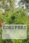 Conifers Cover Image